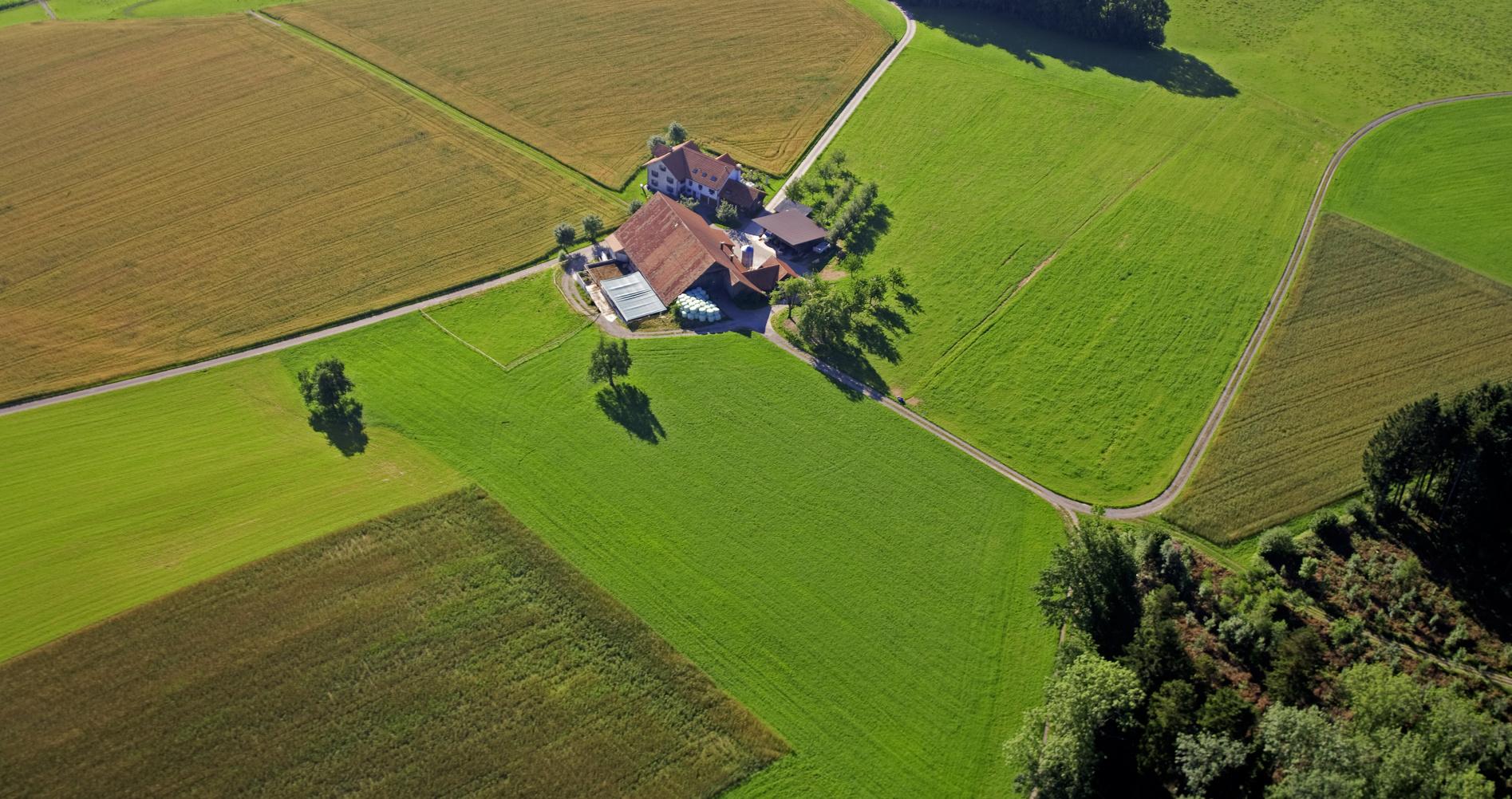 Aerial photo of a farm