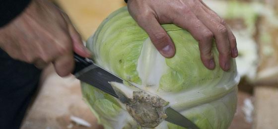 A person cuts cabbage with a knife.